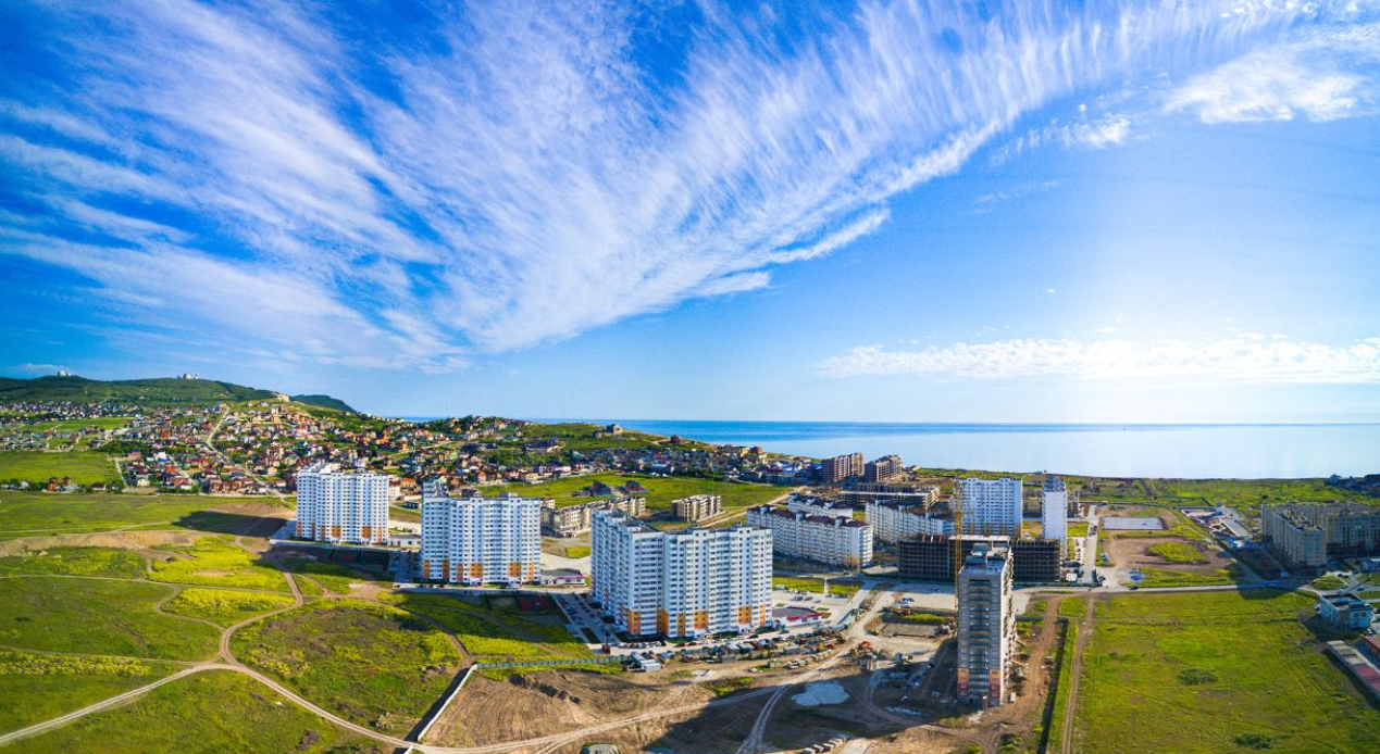 Горгиппия Морская